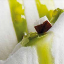 JOYFRUIT  VARIEGATURE FRUTTA
