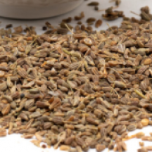 SPEZIE E COADIUVANTI